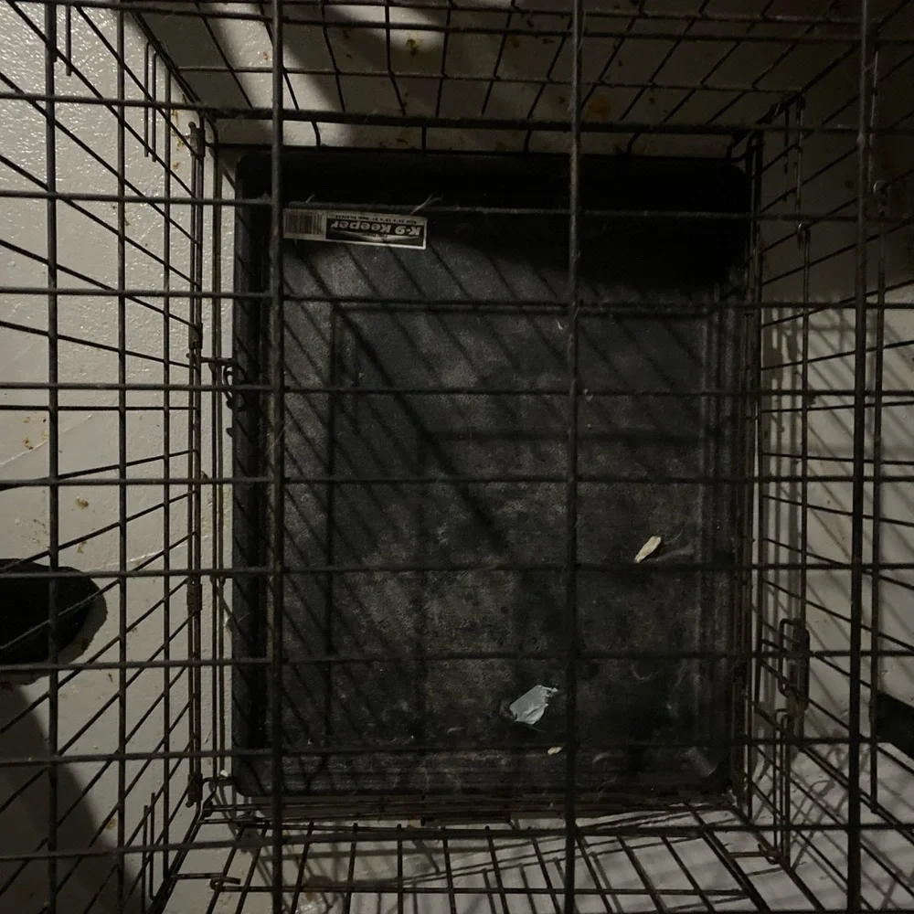 Dog crate